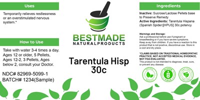 Tarentula Hisp (Tarentula Hisp)